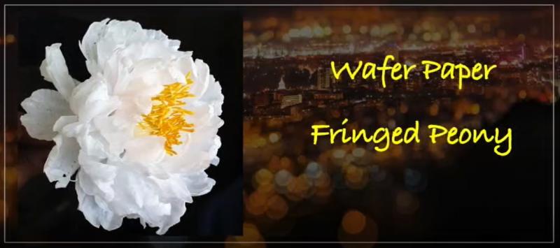 Wafer Paper Fringed Peony