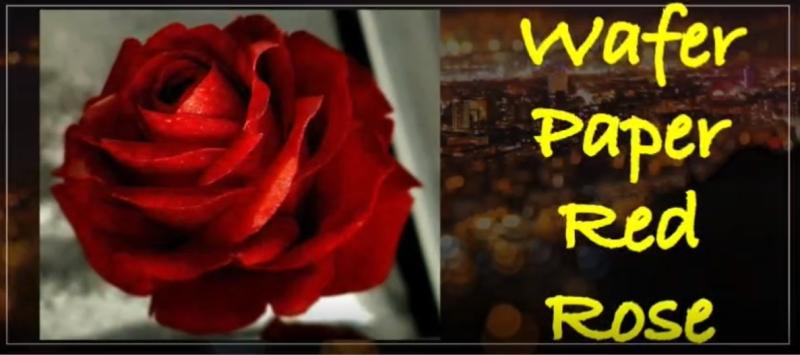 Wafer Paper Red Rose