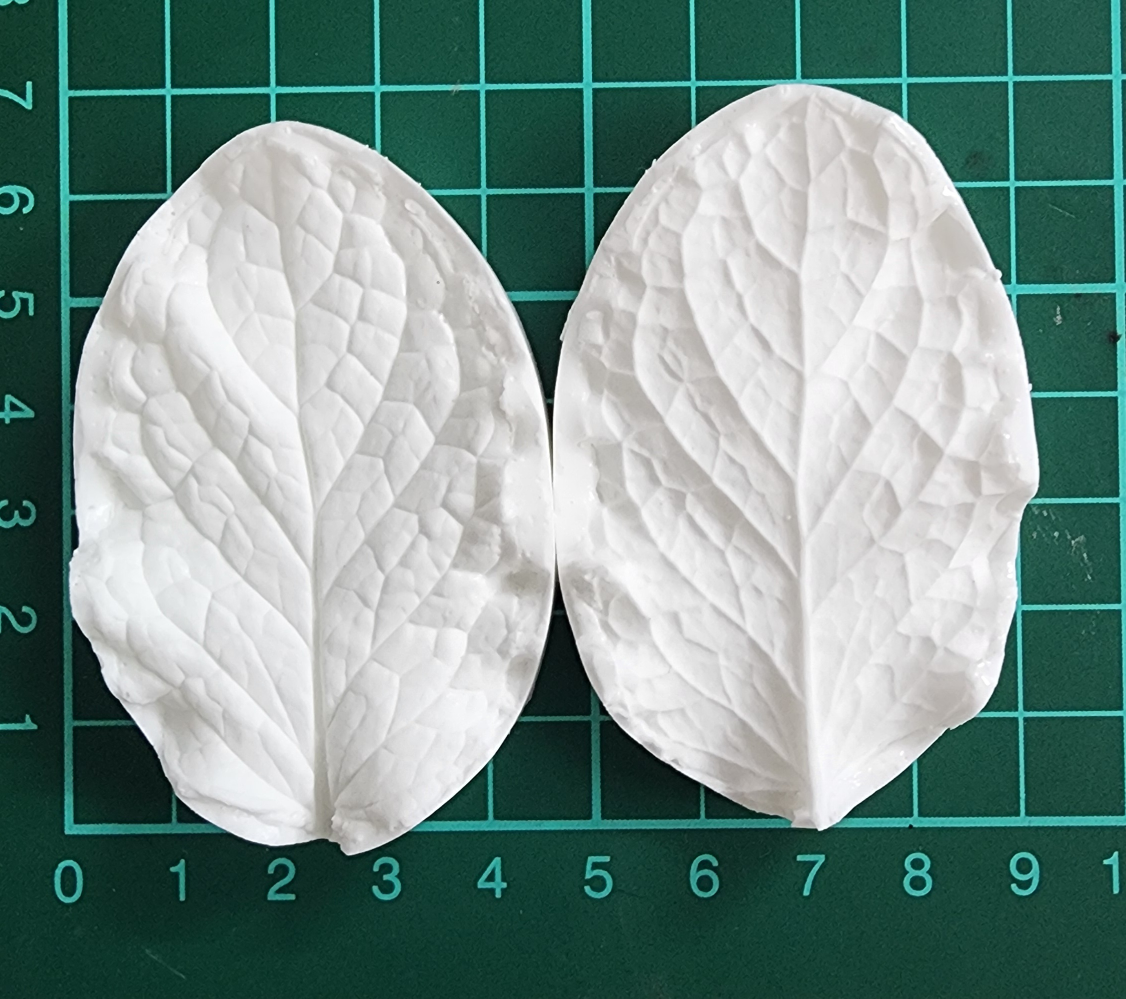 Mint foliage