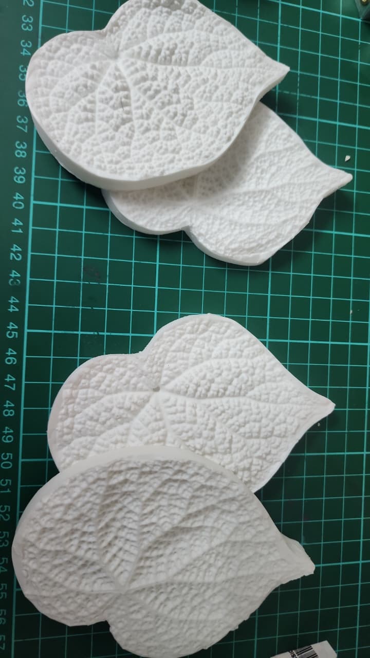 Begonia set of two veiners