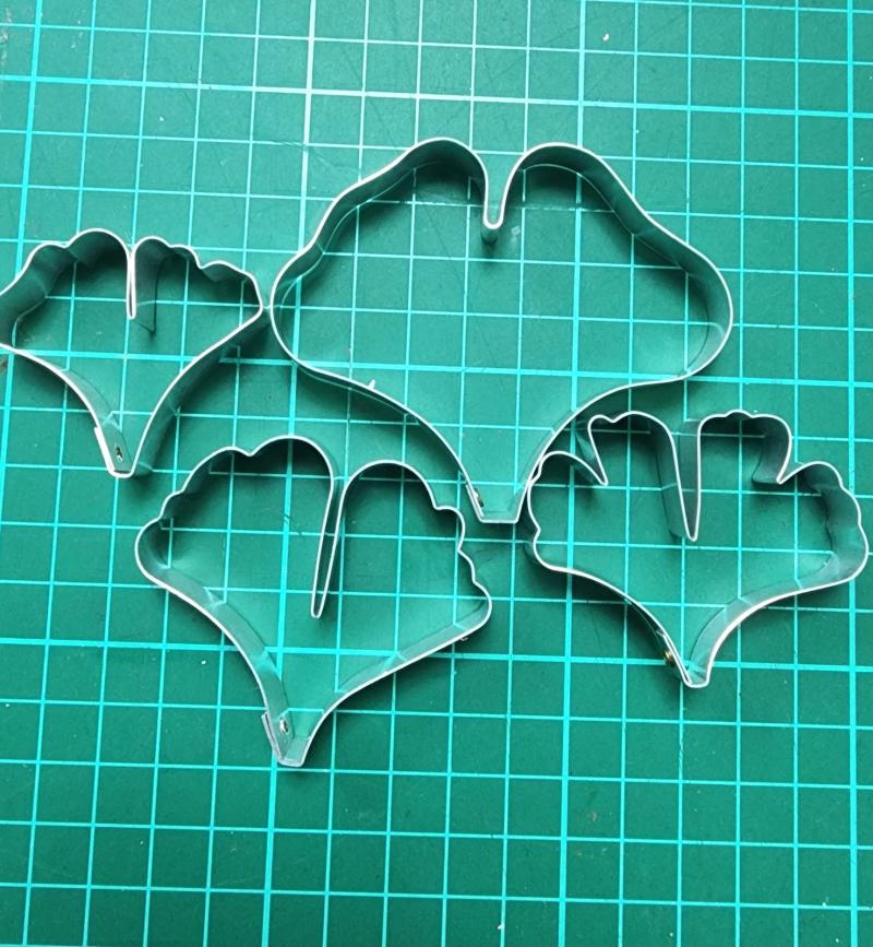 Ginko nut Leaf